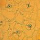 20081211165529-epidermico.jpg