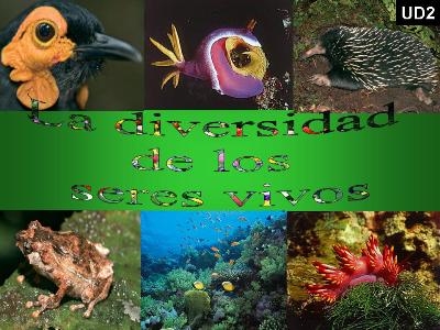 20091005210726-la-diversidad-de-los-seres-vivos-ud02.jpg