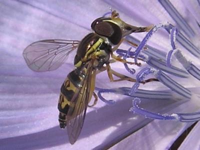 20120214101203-toxom9.jpg