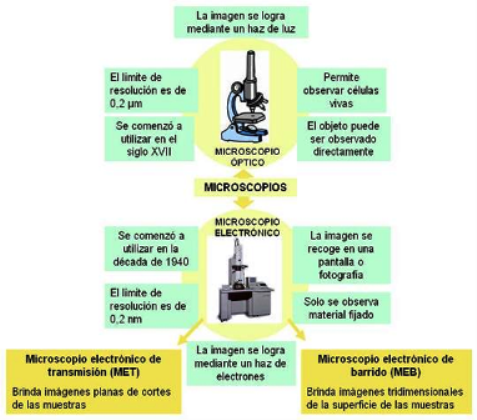 20121210002522-nueva-imagen-18-.png