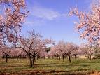 20080313115221-al.jpg