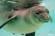 20080424103608-cag52j85.jpg