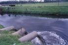 20080617100658-agua-negra.jpg