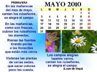 20100501103514-mayo1.jpg