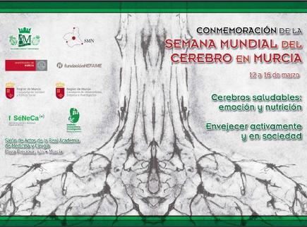 20120310202123-semana-cerebro.jpg