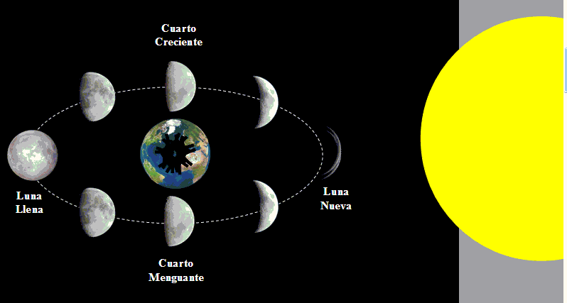 Image result for phases of the moon animation gif
